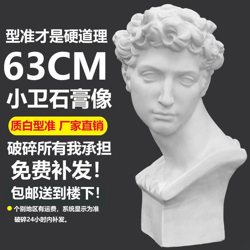 小卫石膏头像美术写生教具小卫石膏雕塑素描石膏头像摆件素描静物