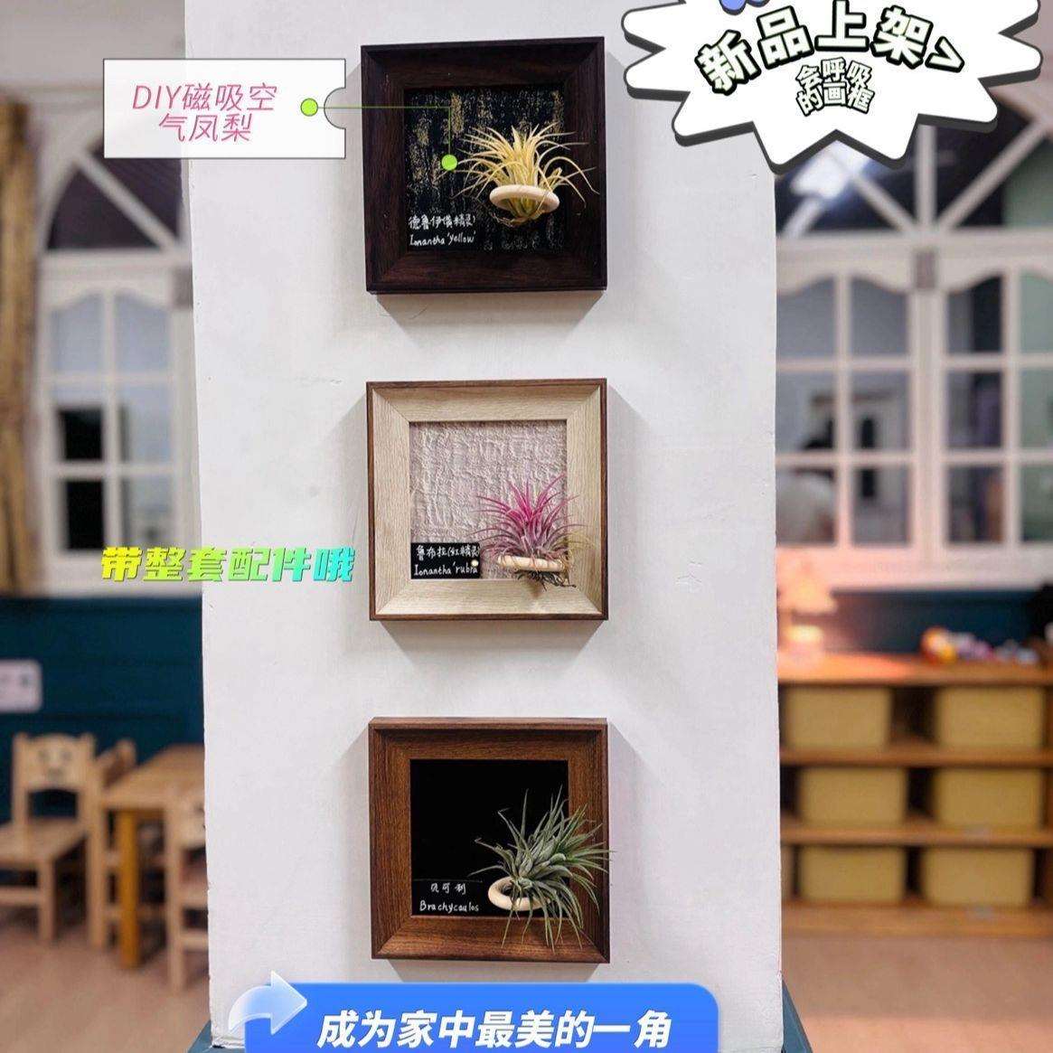 复古相框空气凤梨组合墙上装饰空气植物i高级感精致挂墙装饰品
