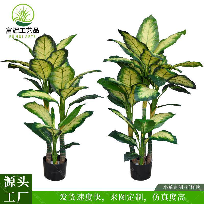 仿真万年青绿植高级感室内造景装饰假植物大叶落地假植物万年青