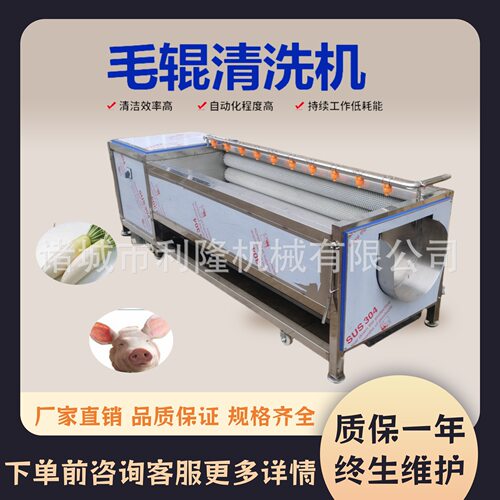 果蔬毛辊喷淋清洗去皮机