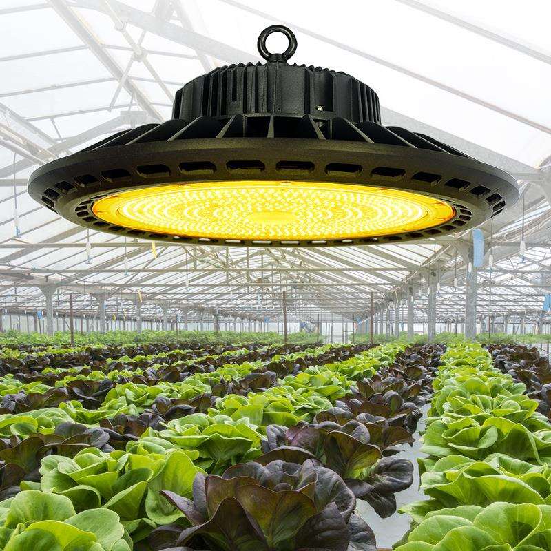 大棚蔬菜种植全光谱植物生长灯照明西红柿叶菜火龙果农用补光灯
