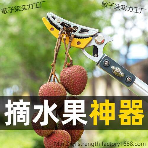 高空采摘新款果子高枝伸缩剪摘摘果杨梅龙眼摘果器枇杷荔枝神器