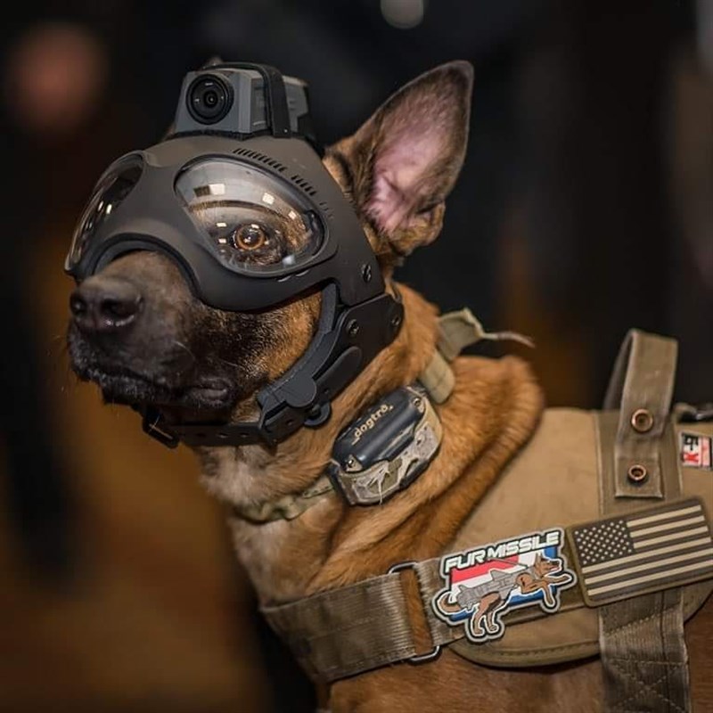 美利堅洋行獨家MOHOC復刻戰術頭盔攝像頭 MTD極限運動攝像