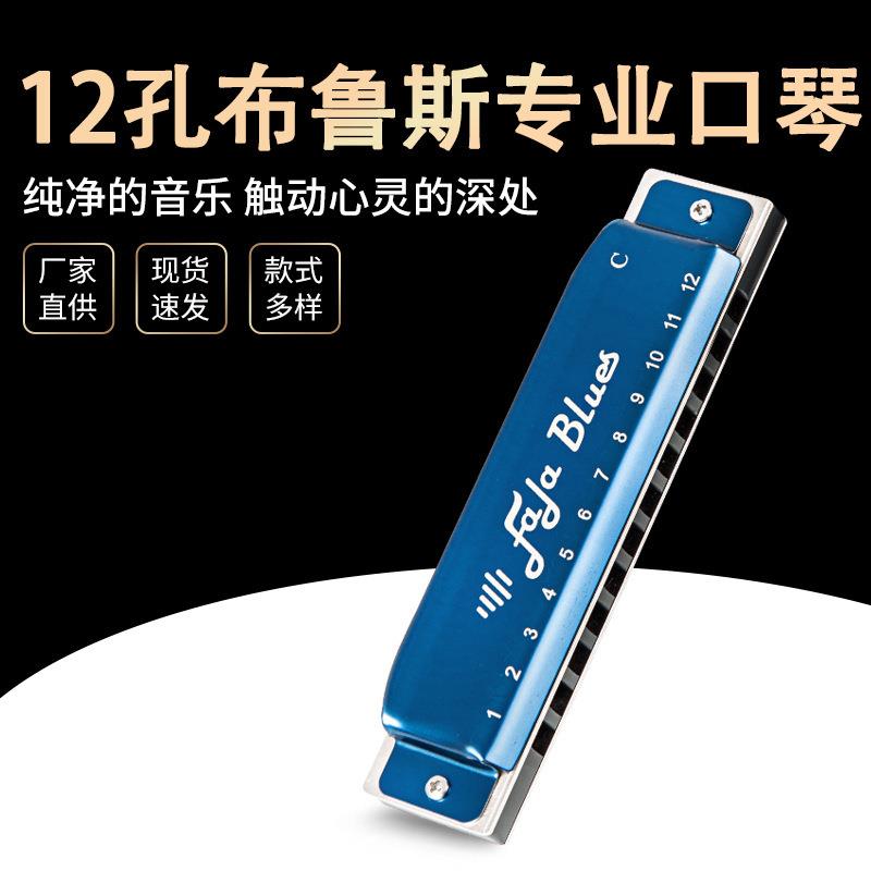 12孔口琴布鲁斯十孔C调蓝调学生儿童成人专业初学者24孔乐器