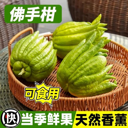 云南佛手柑清供鲜果可食用大果