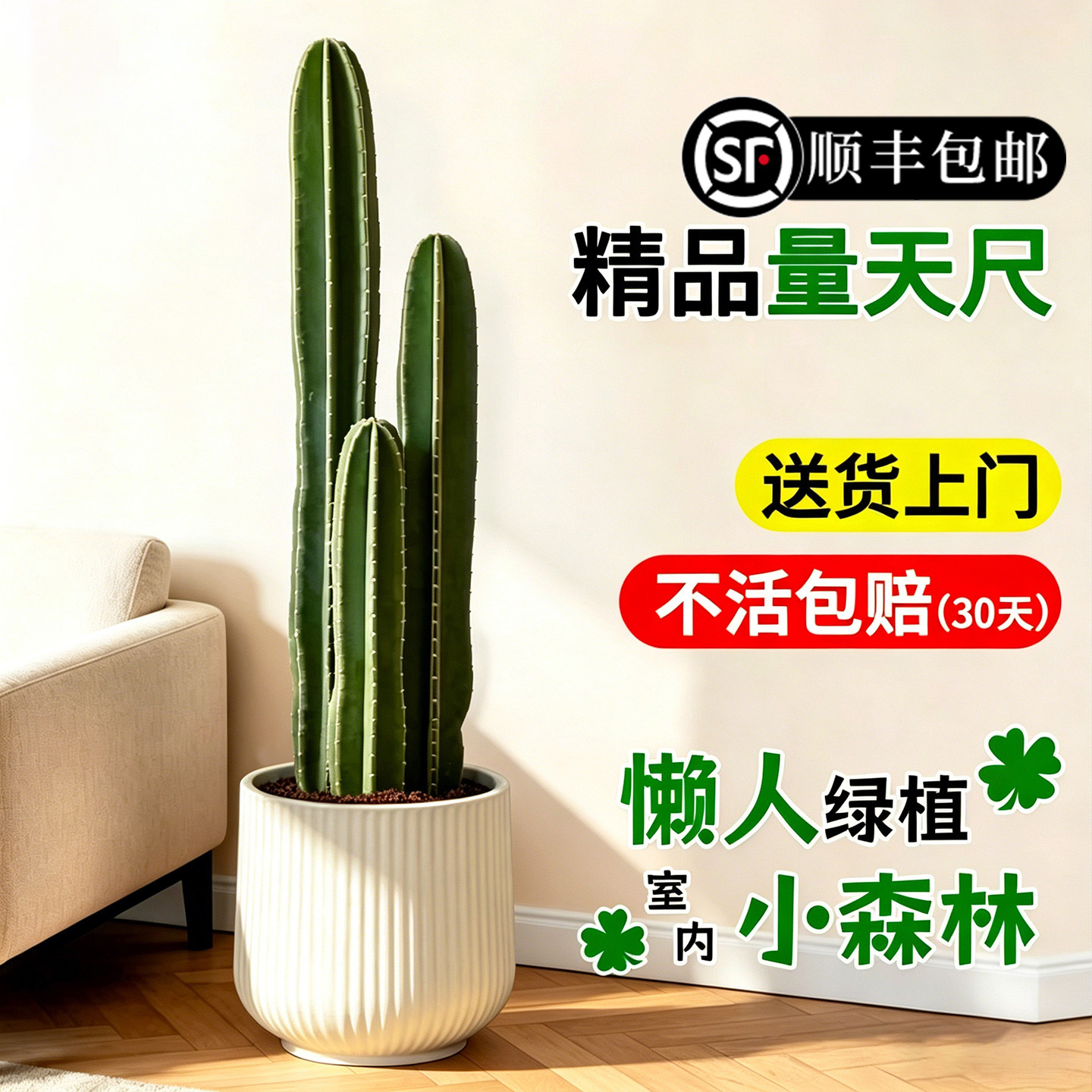 量天尺仙人柱绿植盆栽仙人掌大型植物室内客厅落地好养活多肉禄植