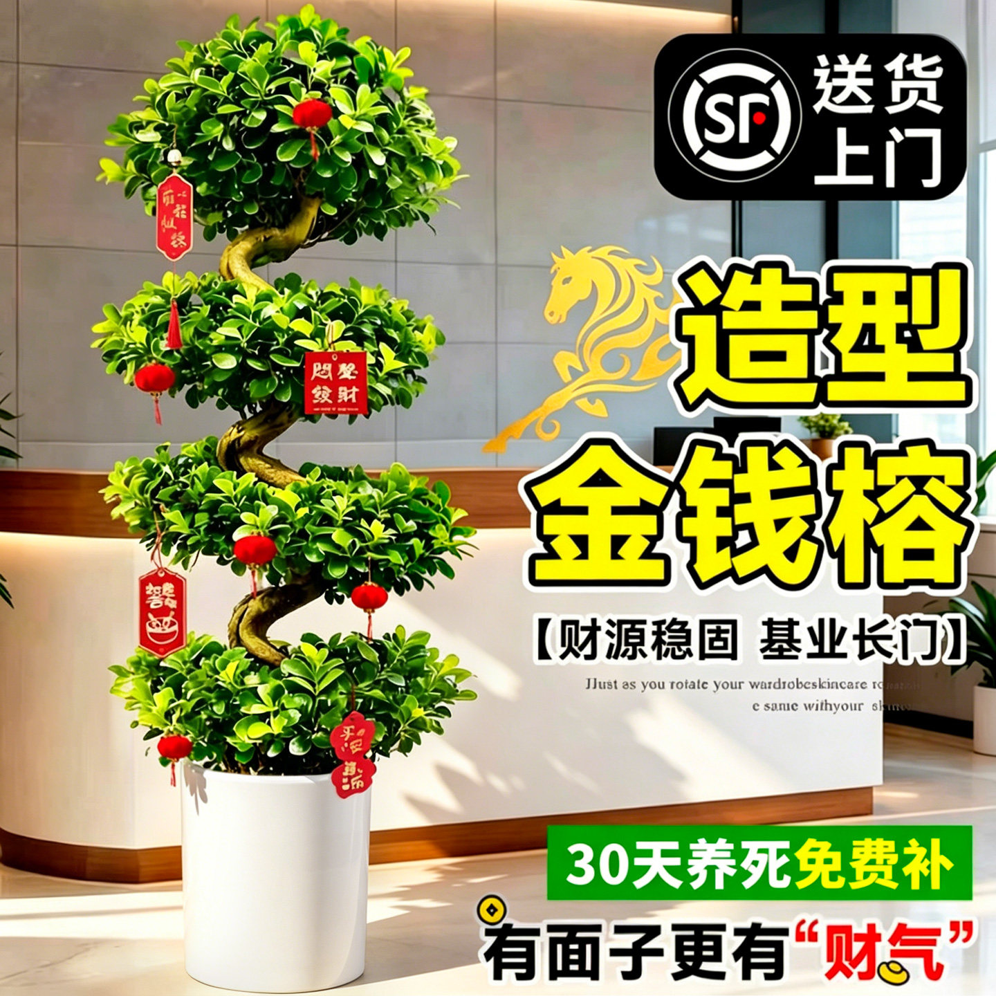 造型金钱榕客厅绿植大盆栽乔迁开业办公室内大型落地旺宅小叶榕树