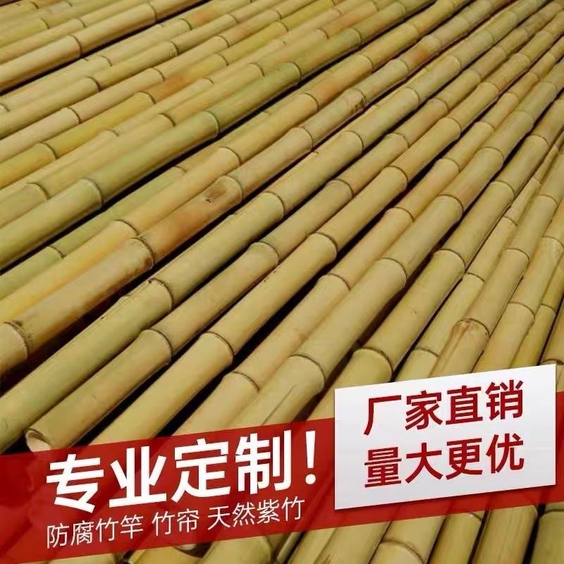 装饰竹竿白竹杆吊顶竹p子装修隔断2米3米4米长防腐毛竹楠竹干篱笆