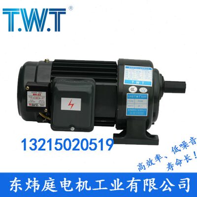 200W(1/4HP) 小型齿轮减速机  减速马达 TWT电机/台湾东炜庭电机