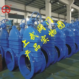 Z545X大口径弹性座封闸阀