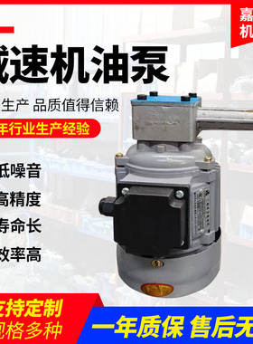 工厂 减速机油泵ZCBZ转子式泵 立式摆线减速机油泵ZCB1.2油泵