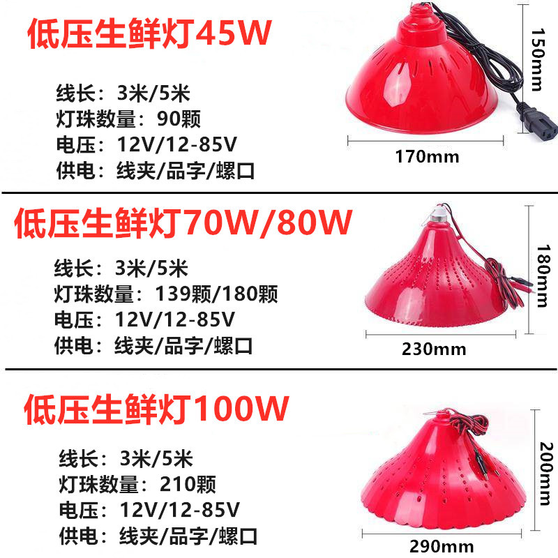 LED生鲜灯低压48V水果灯12v夜市摆地摊电瓶灯60伏熟食专用 猪肉灯
