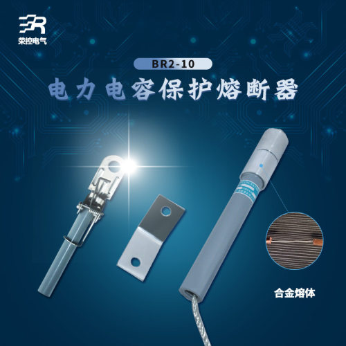 荣控熔断器并联电力电容保护熔断器BR2-10(12)KV10/100P1A-100A