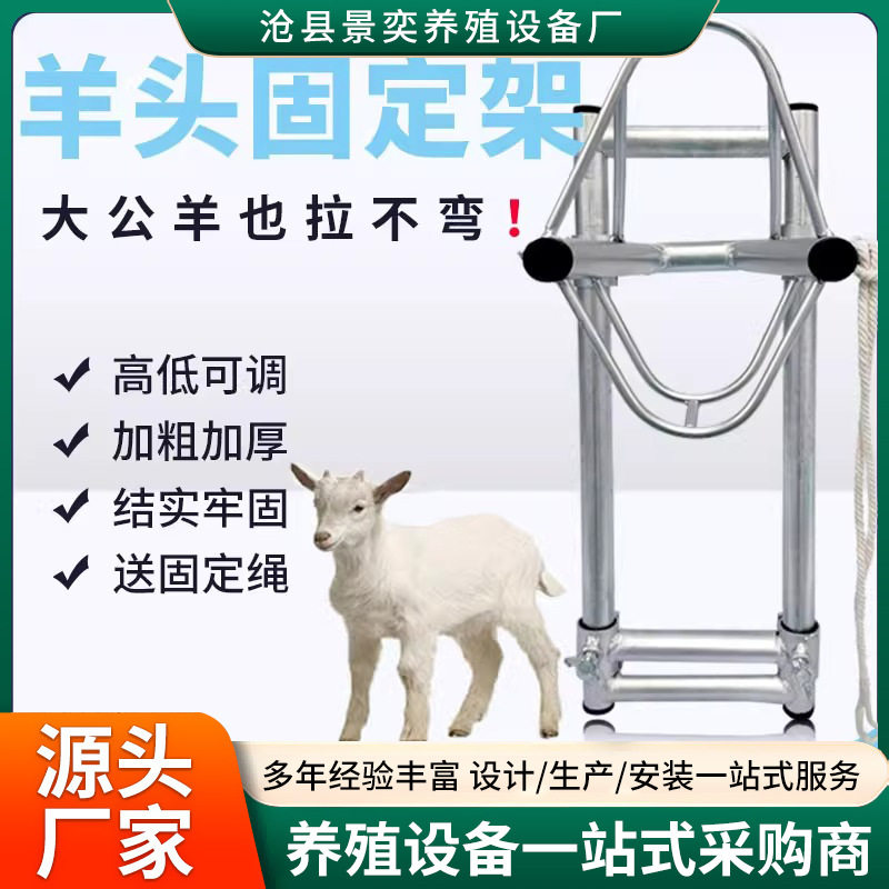羊头固定架羊用笼头升降抓羊钩子剃羊毛固定器打针保定架羊头支架