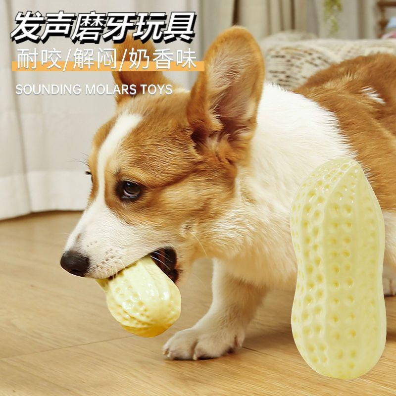 宠物狗狗玩具球耐咬磨牙发声花生幼犬玩具金毛柯基狗自嗨解闷