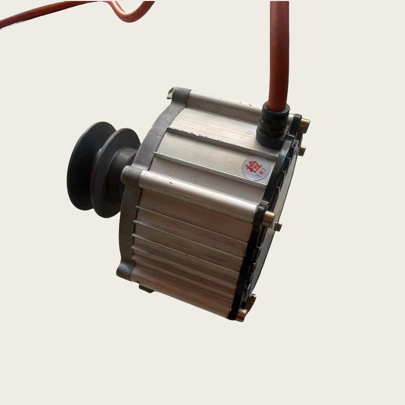 220v伏2000w瓦交流发电机50赫兹HZ家用低速风力水力永磁无刷铜线