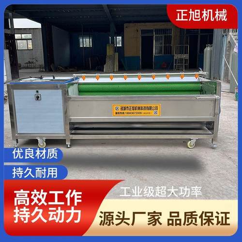 红薯土豆大姜去皮机全自动毛刷辊洗姜机荠菜疙瘩毛辊清洗机