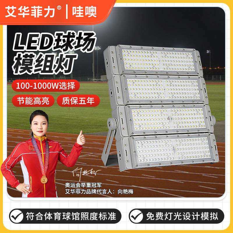 跨境篮球专用灯 1000W足球体育馆广场高杆照明 室外LED模组投光灯