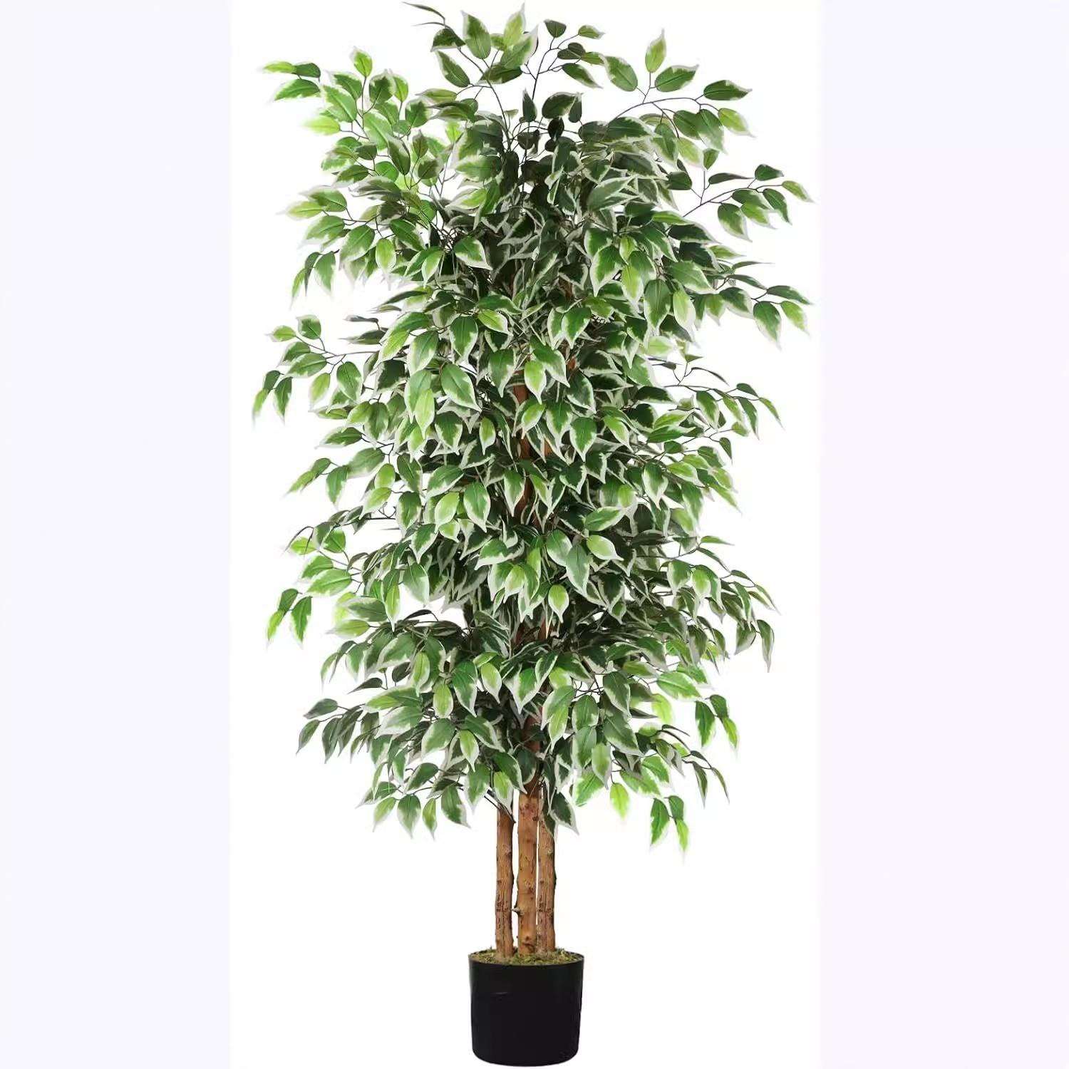 人造真树杆小榕树仿真白边榕树假绿植盆栽过胶迷你榕客厅造景装饰