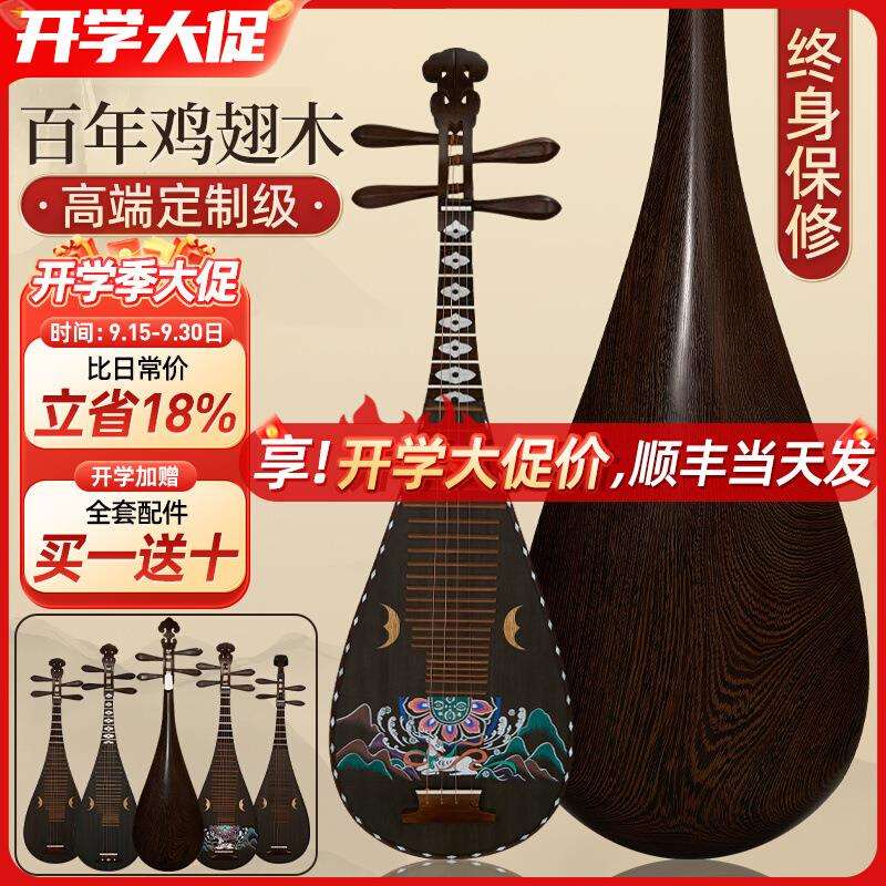 鸡翅木琵琶成人初学儿童专业演奏古风乐器凤尾头敦煌彩绘定座五弦