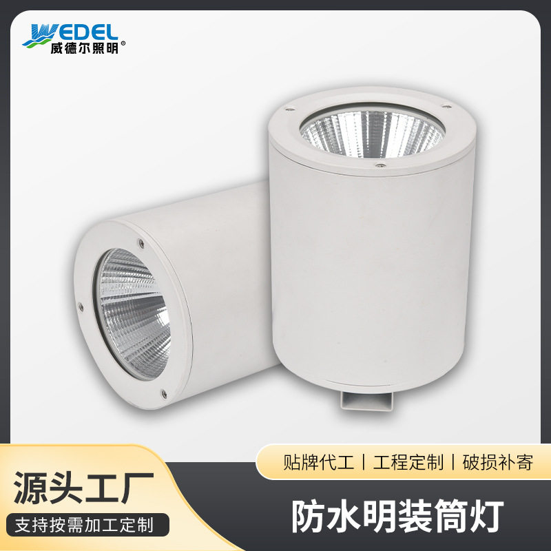 LED明装螺旋口筒灯酒店照明