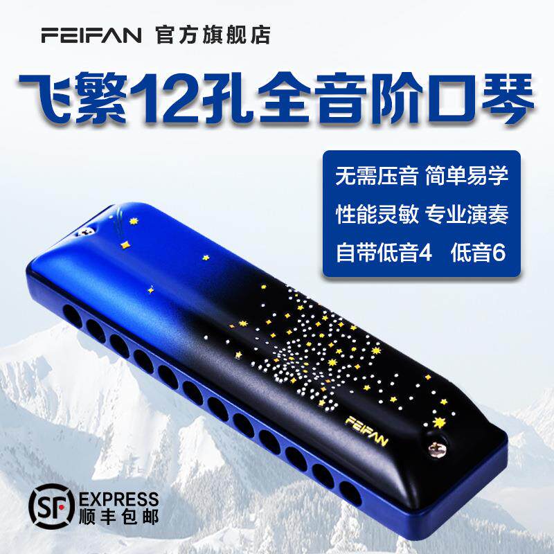 FEIFAN飞繁十二孔布鲁斯口琴初学者成人带低音FALA蓝调专业演奏级