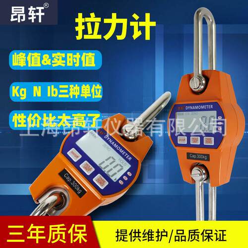 昂轩简易便携拉力测力计30kg-300kg吊装钩秤峰值测力仪现货
