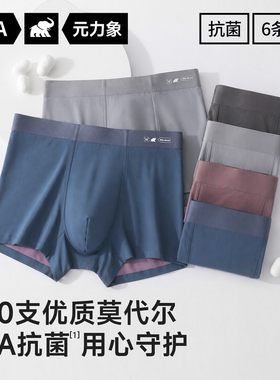 6件|100支元力象莫代尔冰丝内裤