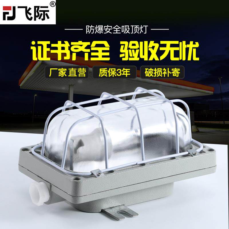 LED防爆灯隔爆灯车间仓库加油站工厂灯防潮灯吸顶灯罩户外三防灯