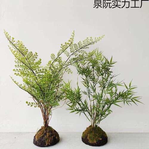 高级时尚蕨类植物盆栽蕨叶竹子盆栽景新中式样板房装饰茶室摆件