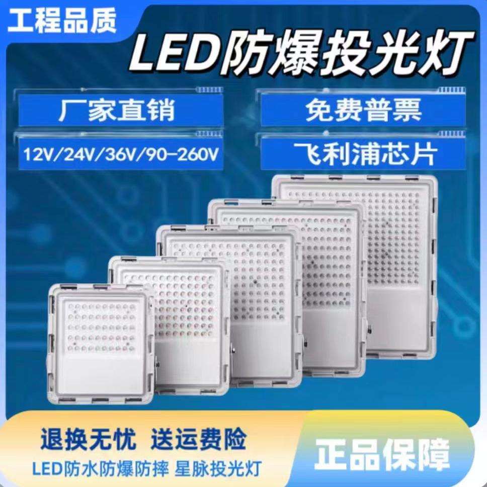 36VLED防爆泛光灯12V24V矿井隧道照明灯48V110V投光灯127V探照灯