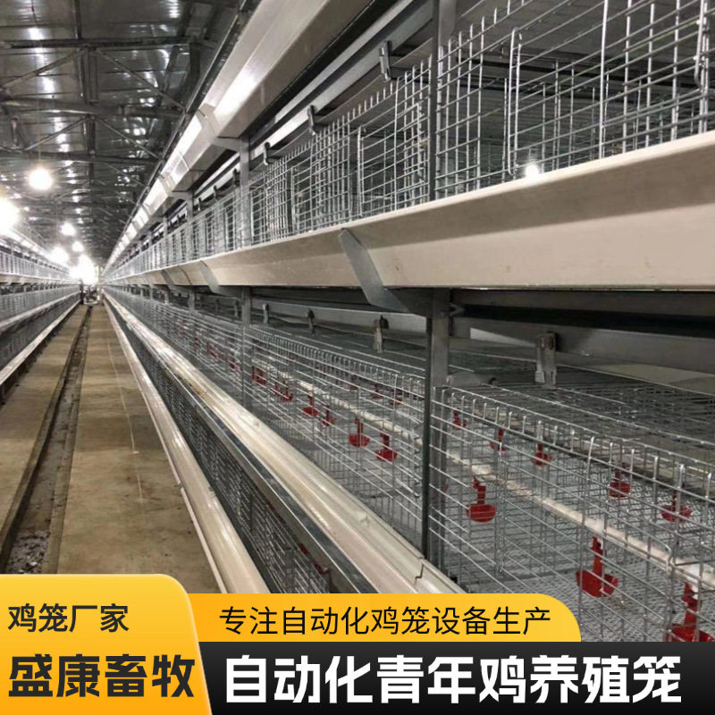 青年鸡舍鸡笼子多层叠式鸡笼子养殖场自动鸡笼自动上料清粪鸡笼