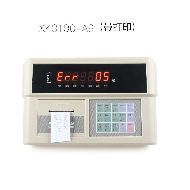 上海耀华XK3190-A9+P仪表称重显示器A9打印仪表电子秤地磅仪表A9