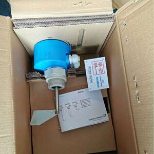 E+H FTE30/31/FTE20 恩德斯豪斯阻旋料位开关固体料位计