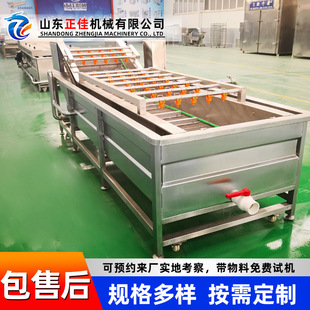 全自动果蔬气泡清洗机 不锈钢大枣苹果青菜辣椒清洗设备