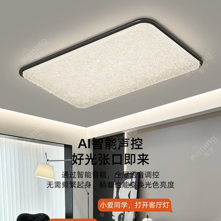 客厅主灯具全屋2025新款意式轻奢感吸顶灯现代简约led大厅灯
