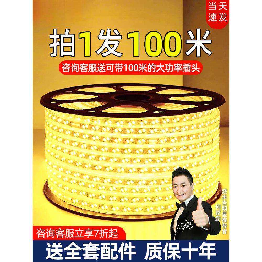led灯带户外防水220v客厅外墙专用工程室外暖光白暖色高压带灯条