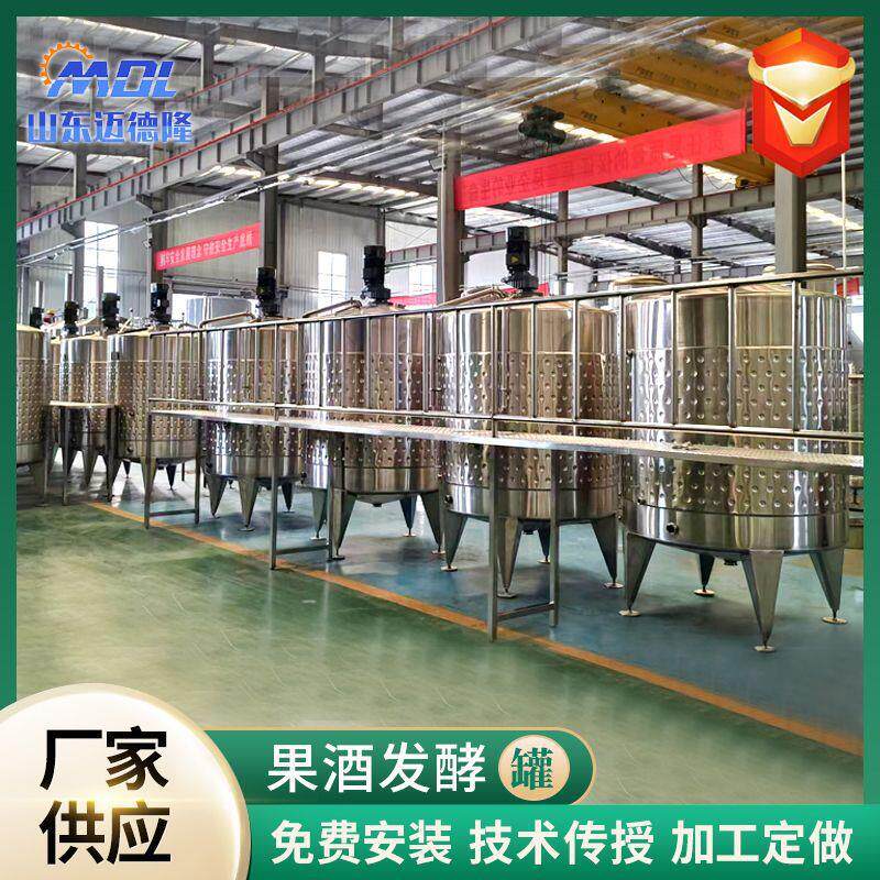不锈钢葡萄酒发酵罐啤酒设备自酿啤酒机一体化酿酒果酒发酵罐