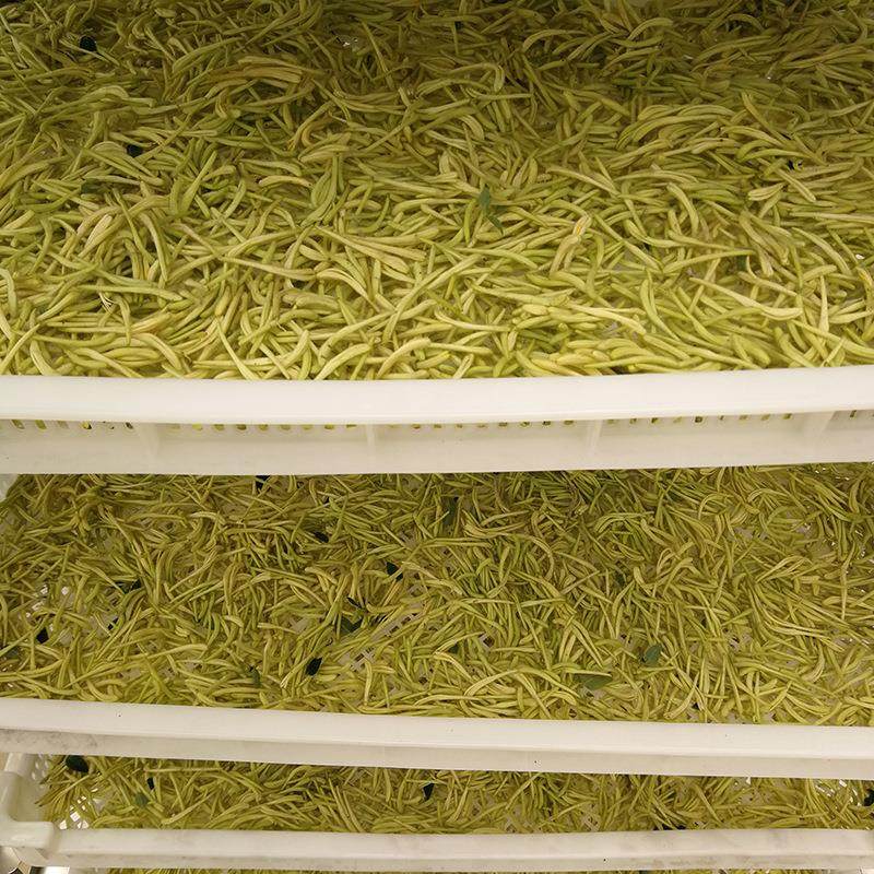 银杏叶烘干机空气能热泵银杏叶烘干房银杏叶片脱水干燥设备