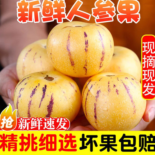 云南石林人参果树上熟鲜果新鲜人参果七彩黄肉圆果人生果包邮