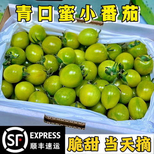 【顺丰】山东潍坊青口蜜绿色小番茄新鲜现摘现发西红柿圣女果水果