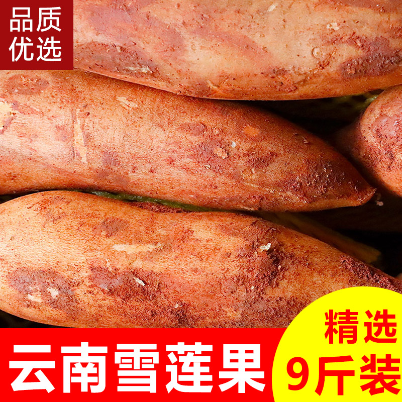 云南天山雪莲果新鲜现挖红黄心水果当季水果9斤5斤3斤整箱包邮
