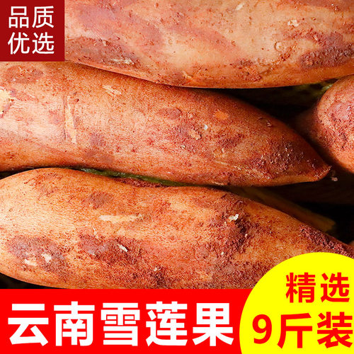 农家新鲜天山雪莲果新鲜水果应当季云南孕妇雪连果黄心特产整箱