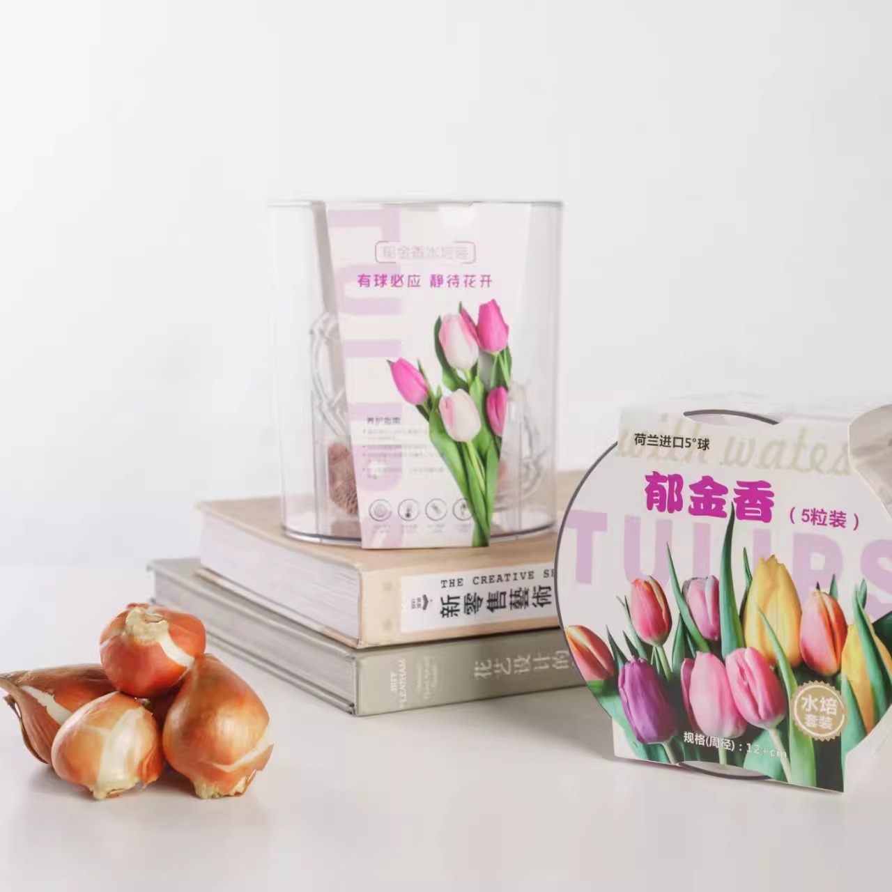 【郁金香神秘范伊克种球(5颗)水培礼盒装】一单包邮不和鲜花拼单