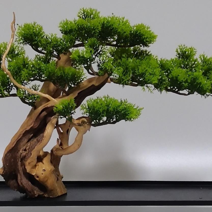 创意家居客栈酒店餐厅茶室造微景观盆景摆设树根枯木植物松树