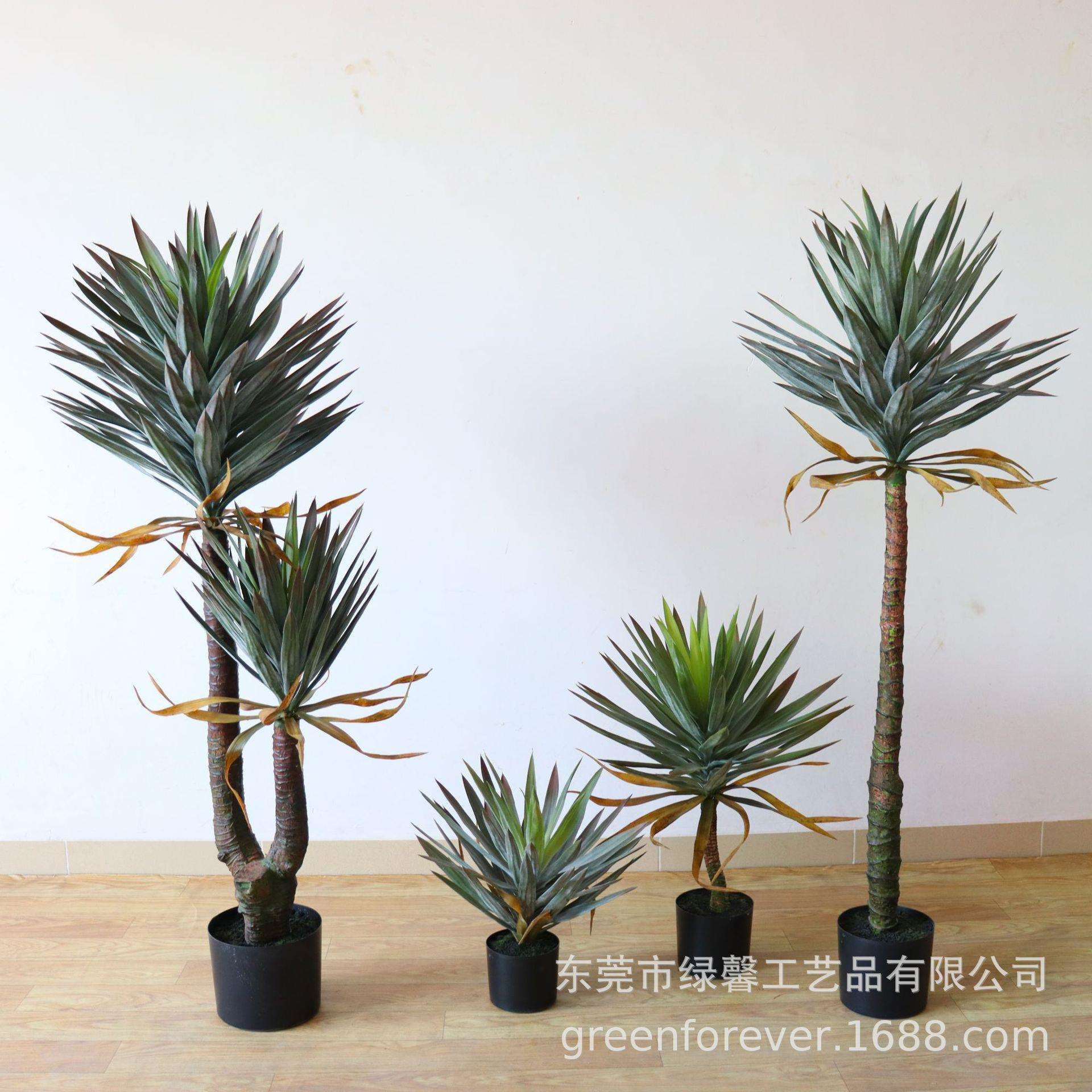 高档绿植大型摆件北美铁树兰地装饰植物落兰铁树新款仿真龙血树