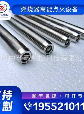 工业加热炉高压点火杆 CGDZ18-3200A 锅炉高能点火装置打火棒
