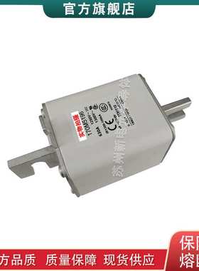 170M5196 170M5197 170M5198 巴斯曼bussmann快速熔断器保险丝