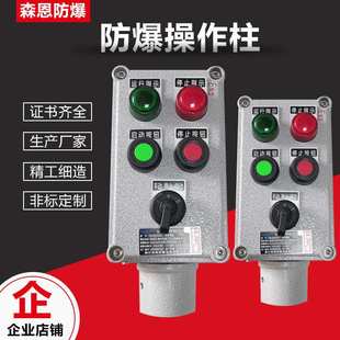 防爆操作控制箱防腐按钮箱两灯两钮一表防水防尘立式 IIB 挂式