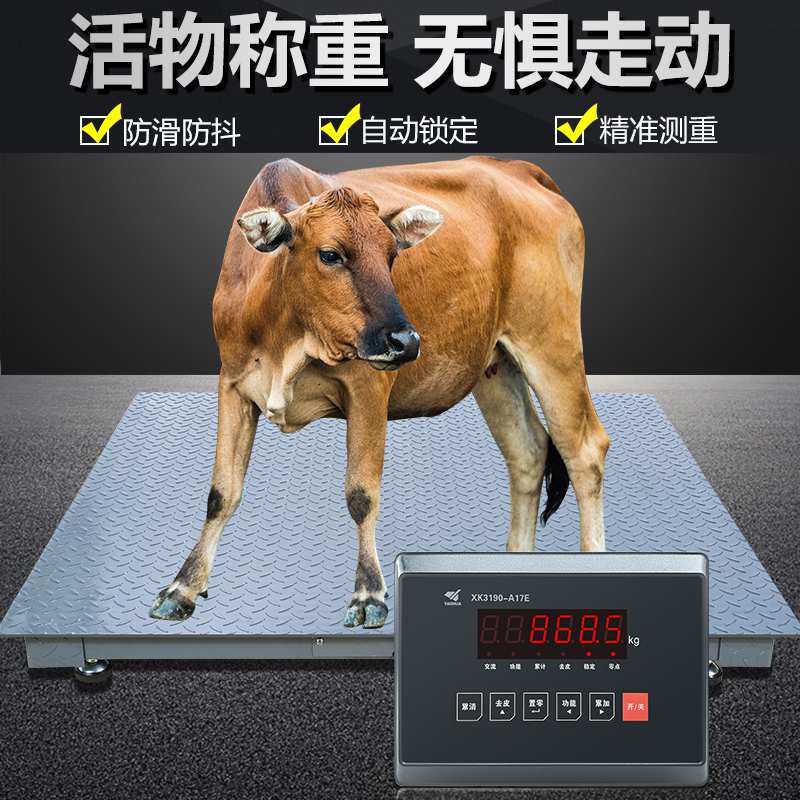上海耀华加厚地磅秤1-3吨5MM高精度工业5吨小型地磅称畜牧围栏